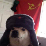 Avatar du membre